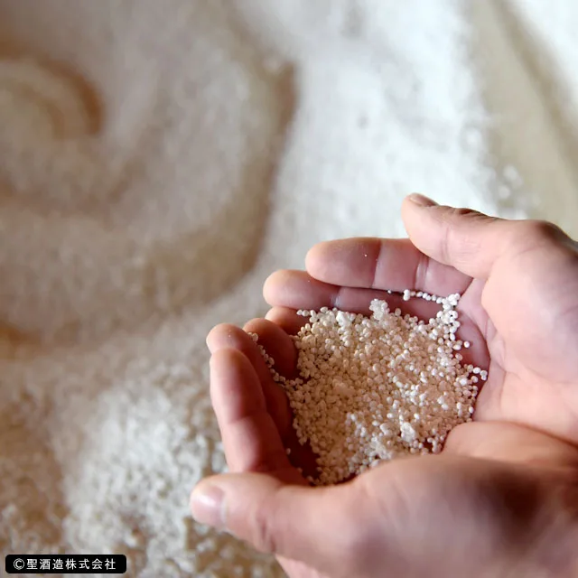 Japanese rich fragrant flavor sake drink wine alcoholic beverage gift