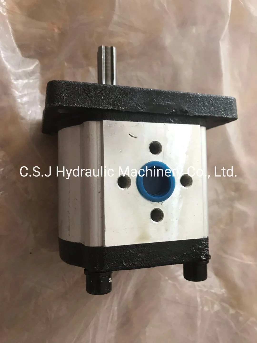 CBN-E316 Gear Pump High Pressure Gear Pump for Machine