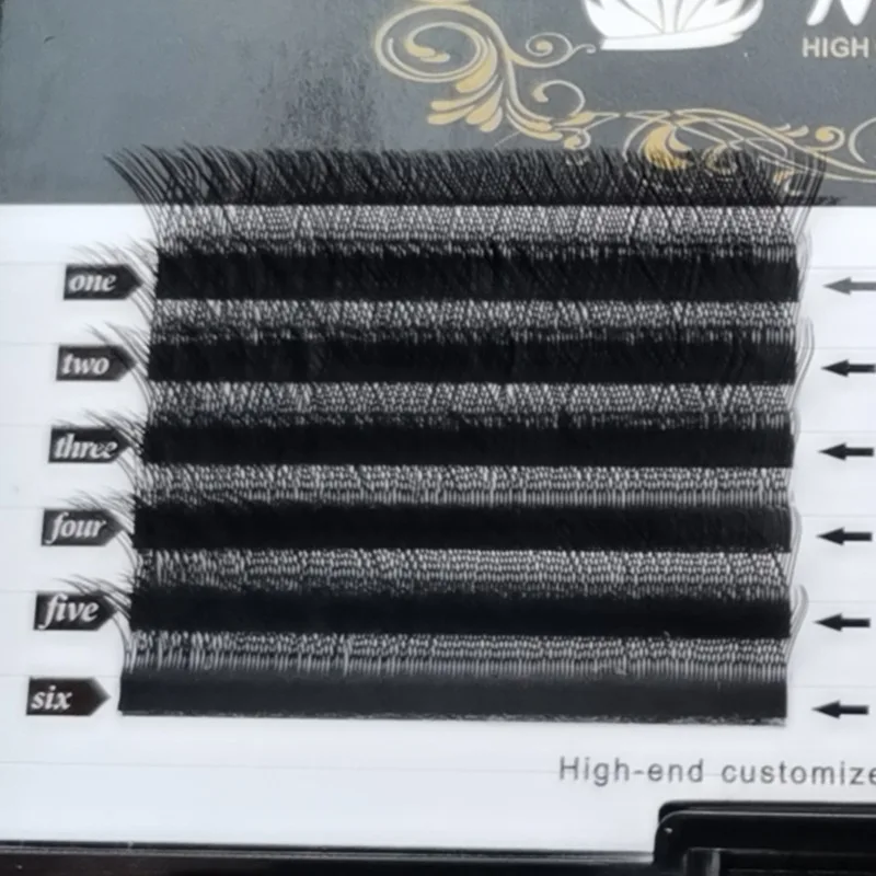 Eyelash Extension Vendor Pre Made Fan 2d 3d 4d 5d 6d 8d And 10d Korean Eyelash Extensions Supplies Eyelashes Extension Tool Kit