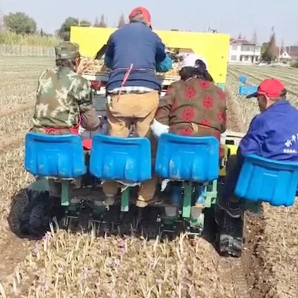 automatic 2ZBLZ-4 crawler 4 rows vegetable seedling transplanter bacco planting machine potato electric seedling transplanter