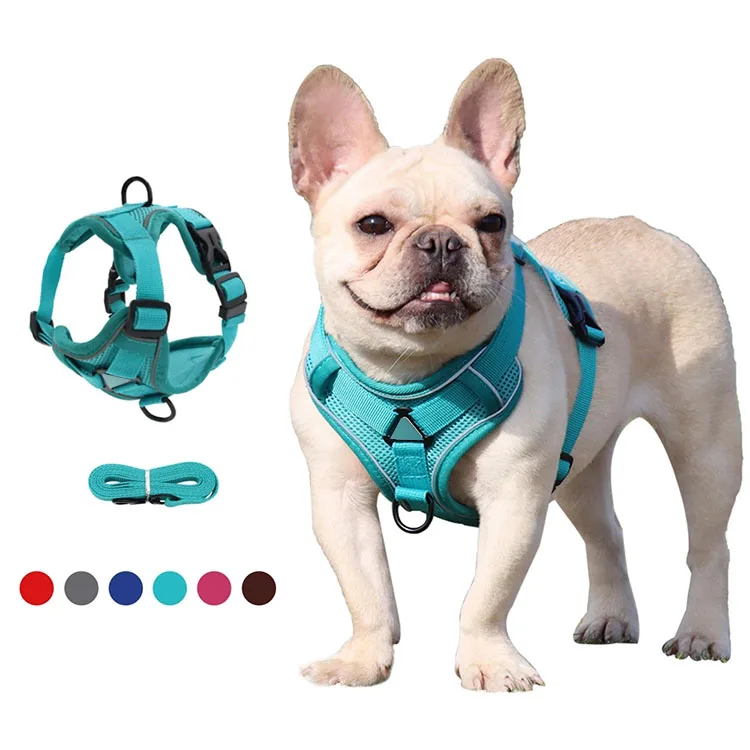 Dog Harness with 150cm Nylon Pets Leash Set No Pull No Choke Dog Vest Adjustable Reflective Breathable for Dogs