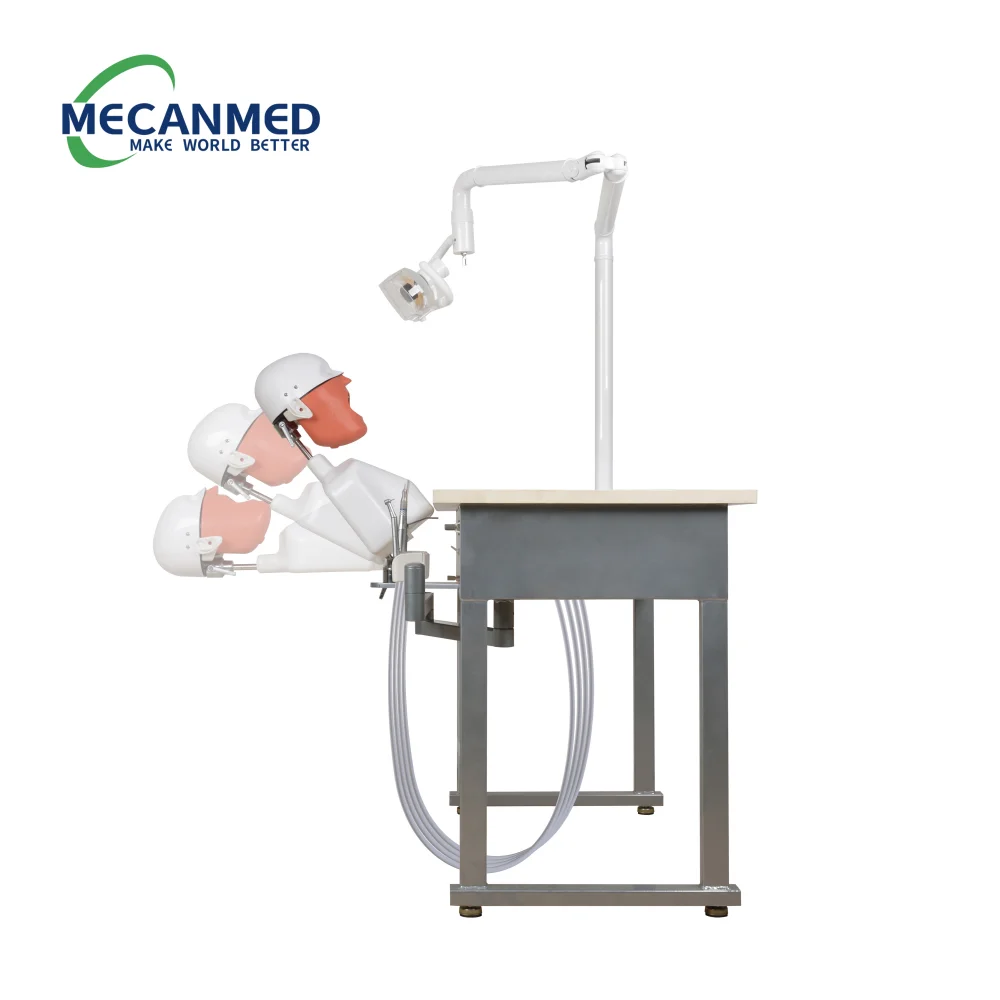 Top Quality Dental Education Manikins Dental Simulation Model Phantom Head Dentist Education Teach Studying Dental Simulator