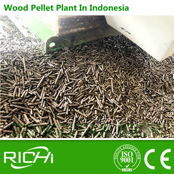 Биомасса древесных гранул мельница машина/Pellt мельница машина для производства древесных гранул используется в системе гранулирования