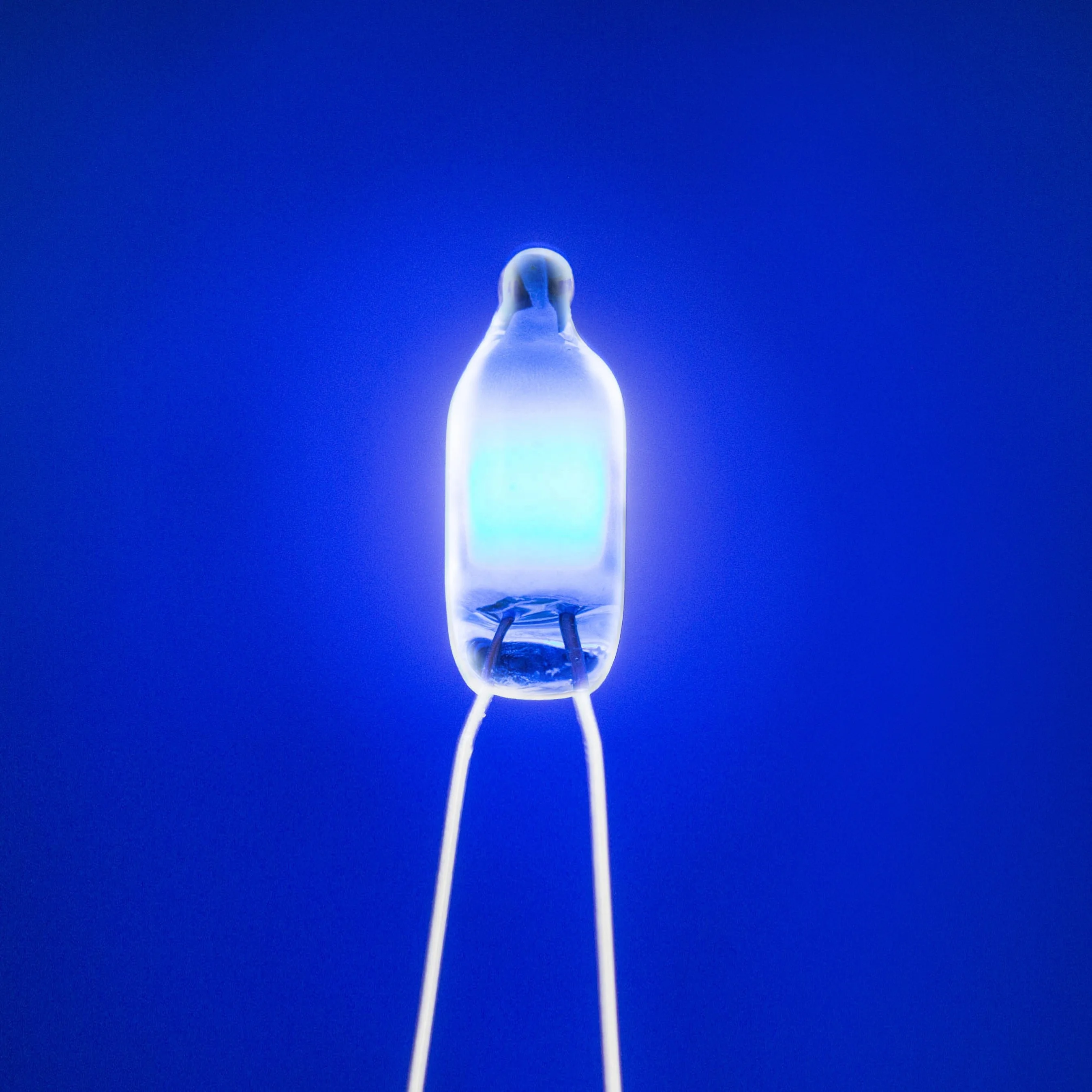 Blue Color neon lamp/neon tube/neon bulb with Different size