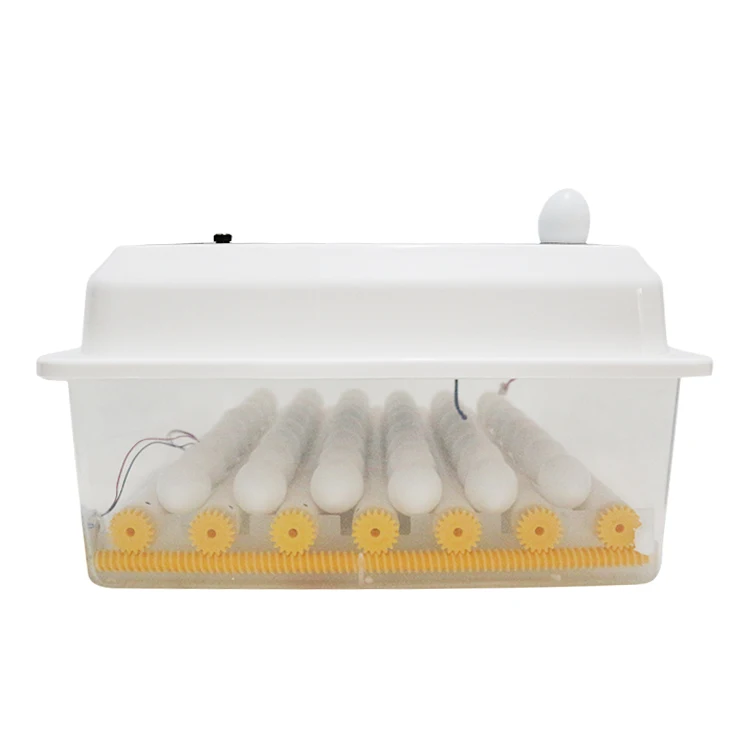  Hot sale high hatching rate 24/30/36/42 egg capacity automatic birds machine incubator mini
