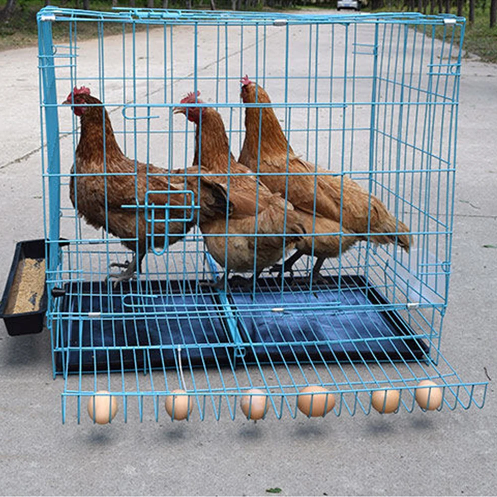 Easy using blue iron wire folding chicken cage chicken layer cage