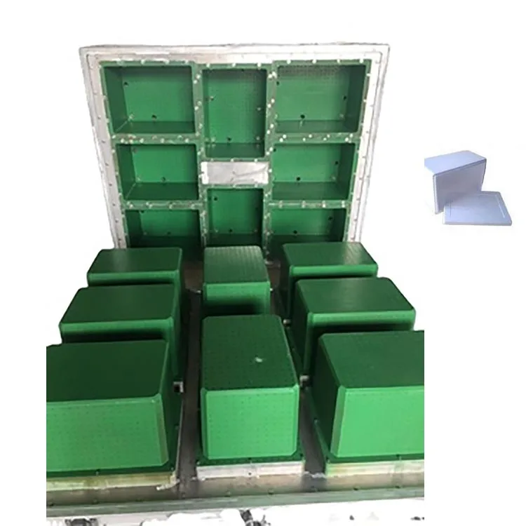 Professional EPS Mold manufacture for foam packaging eps foam mold