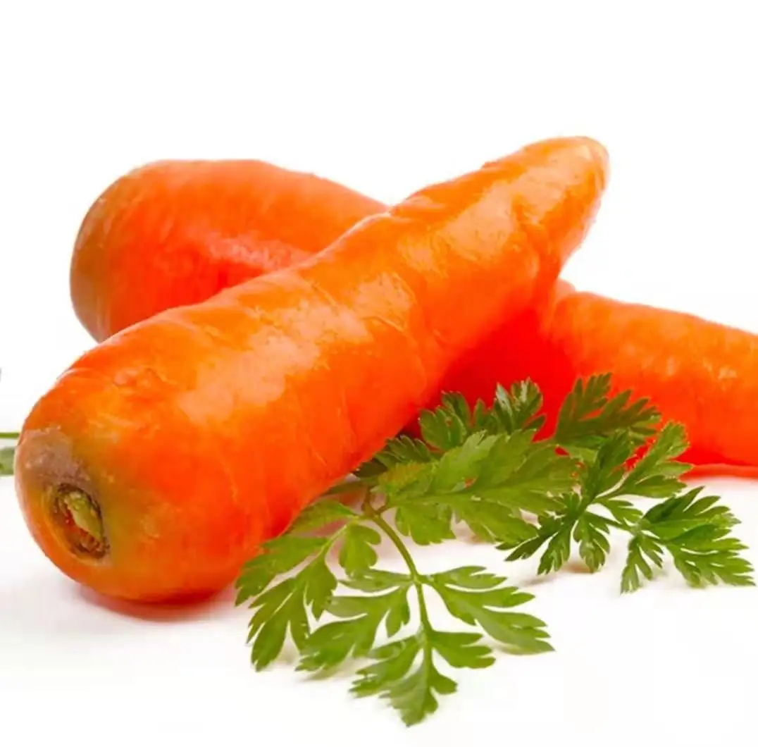 
Exclusive sales 100% natural top quality refreshing and delicious fresh organic carrot 