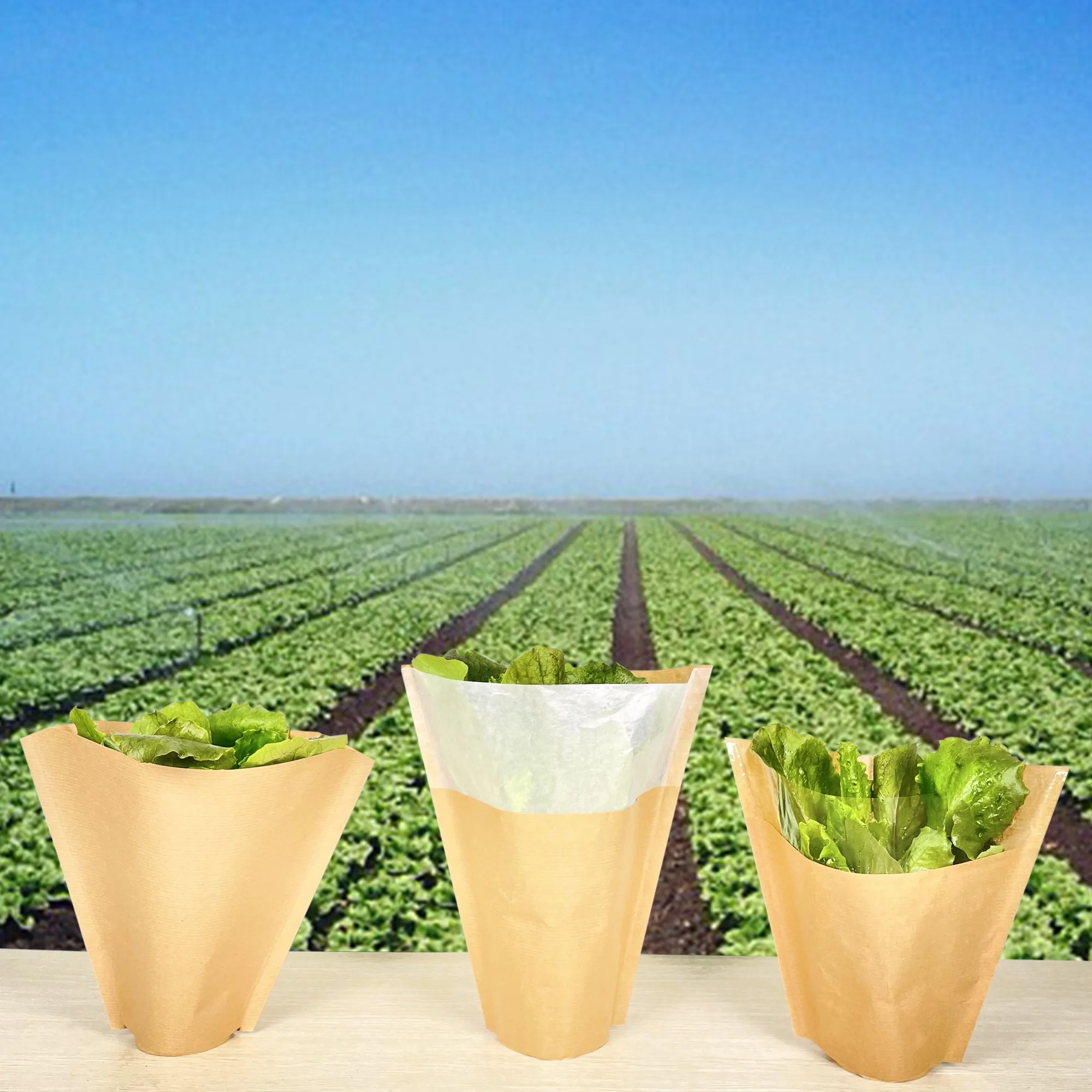 Hot Sale 2022 Popular U-CUT Front Page Kraft Paper Sleeve For Herbs and Flower