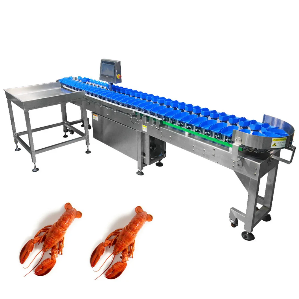 TT-WSM-02 Automatic Weight Sorting Machine Weight Sorter for Mango sorter and fruit sorter