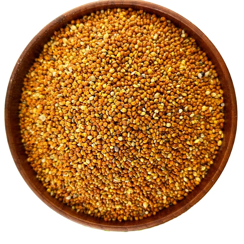 Factory supply  high purity  small red millet red millet seed