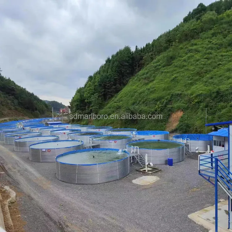 SDM14000 liters diameter 4m height 1.15m fish farming equipment pond fish farming tank Fish Breeding Pool