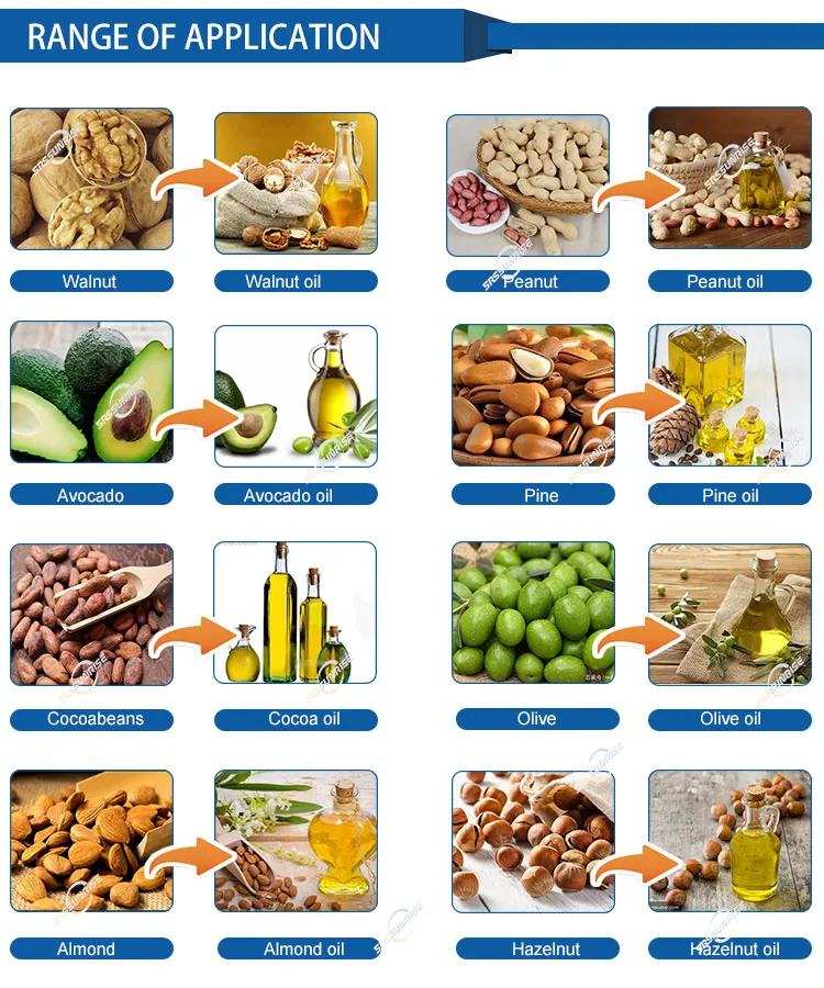 Cold Oil Press Lavender Cocoa Bean Coconut Olive Sunflower Seeds Soybean Canola Semi-auto Hydraulic Oil Extraction Machine