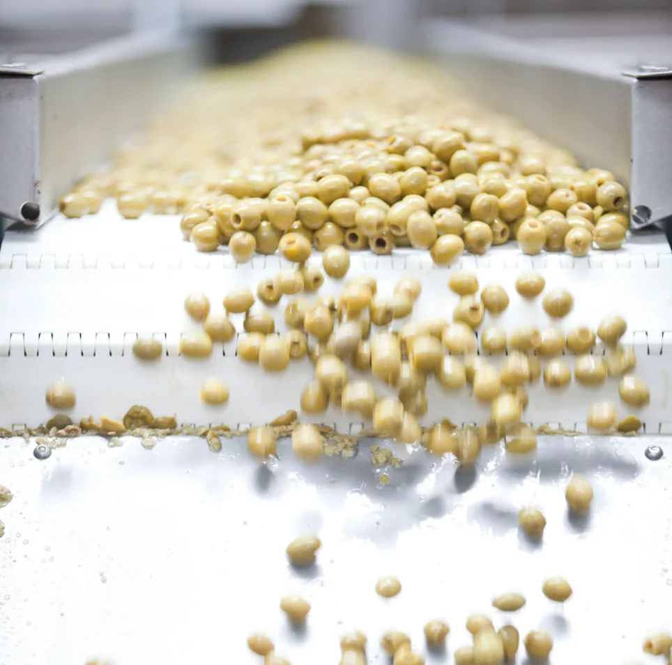 Отличное предложение, испанские качественные пастеризованные зеленые оливки с долгим сроком годности, с начинкой из креветок для домашнего использования