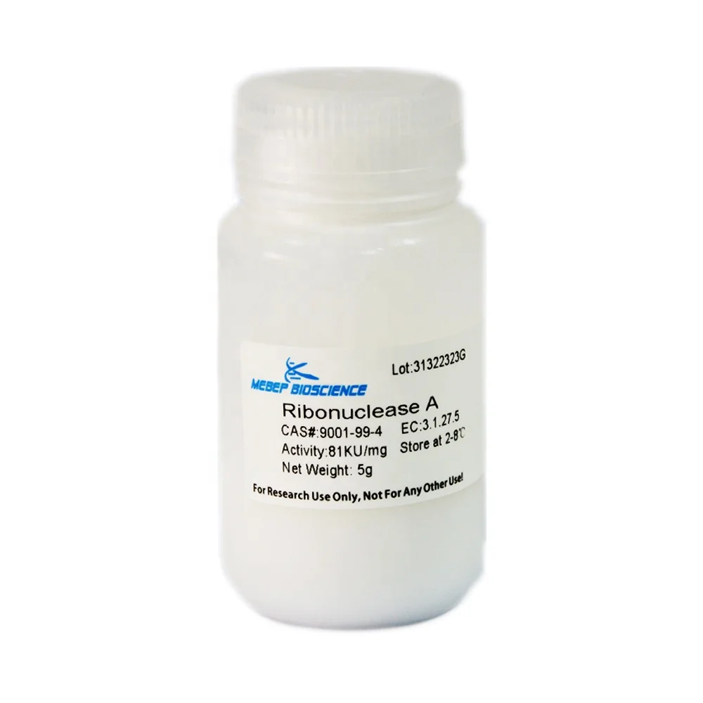 
RNase A , Ribonuclease A RNase I lyophilized,DNAse free 