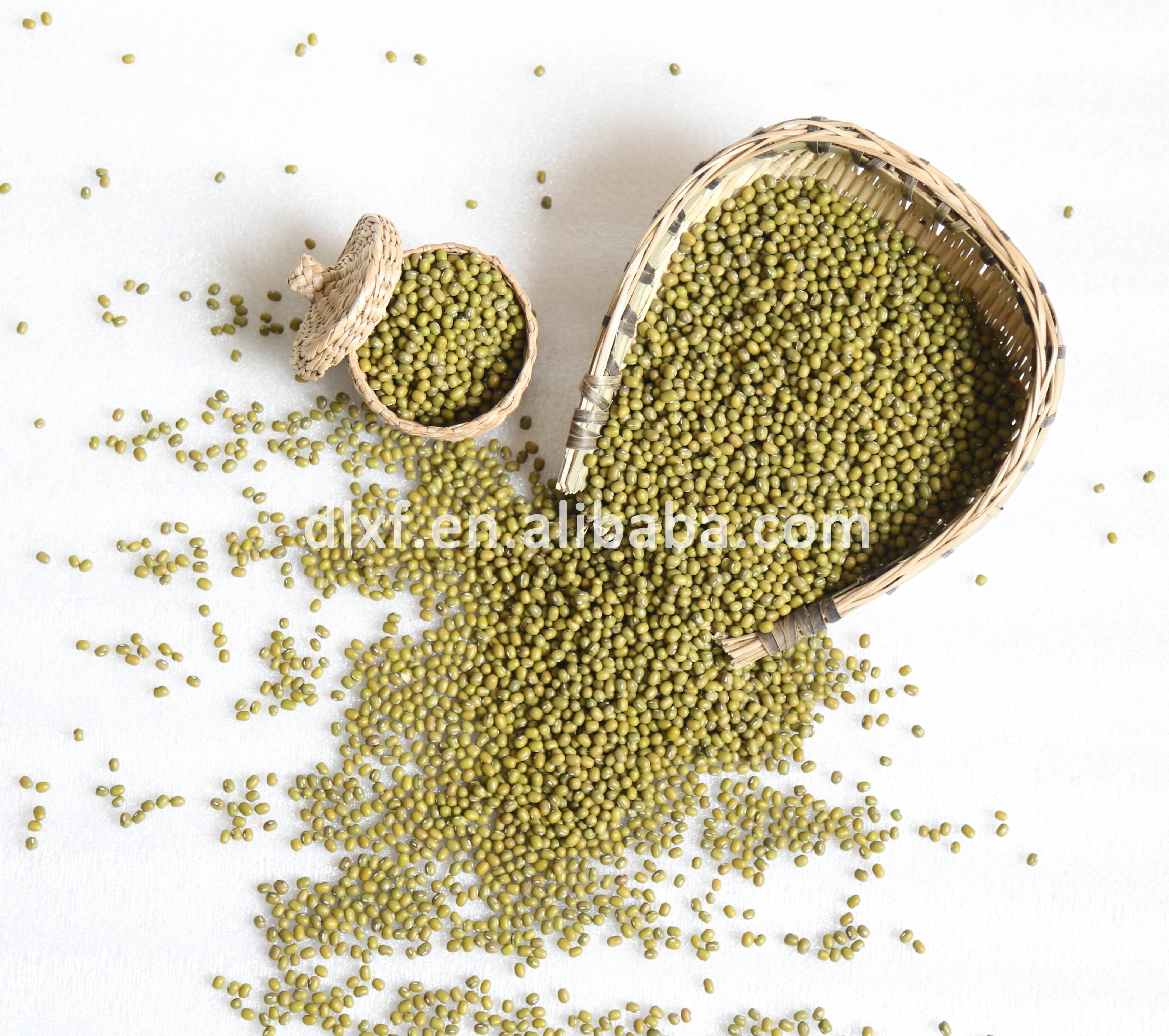 
Best Quality sprouting green mung bean from China mung bean protein 