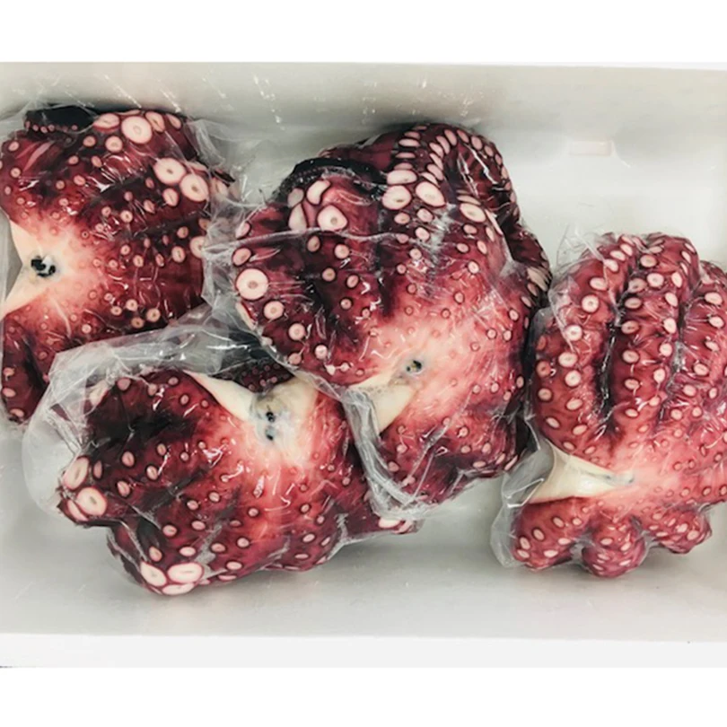 
10kg steamed original taste octopus live frozen sea food for sashimi 