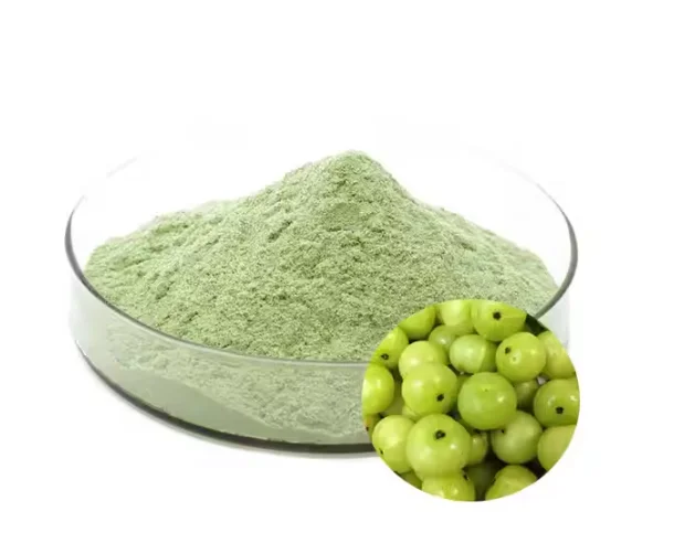Лучшая цена Amla Фруктовый Порошок сок порошок