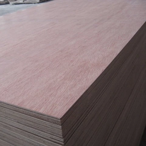 ForaKing Linyi factory 3mm 5mm 9mm 12mm 15mm 18mm Bintangor plywood/okoume plywood/red hardwood plywood with competitive price