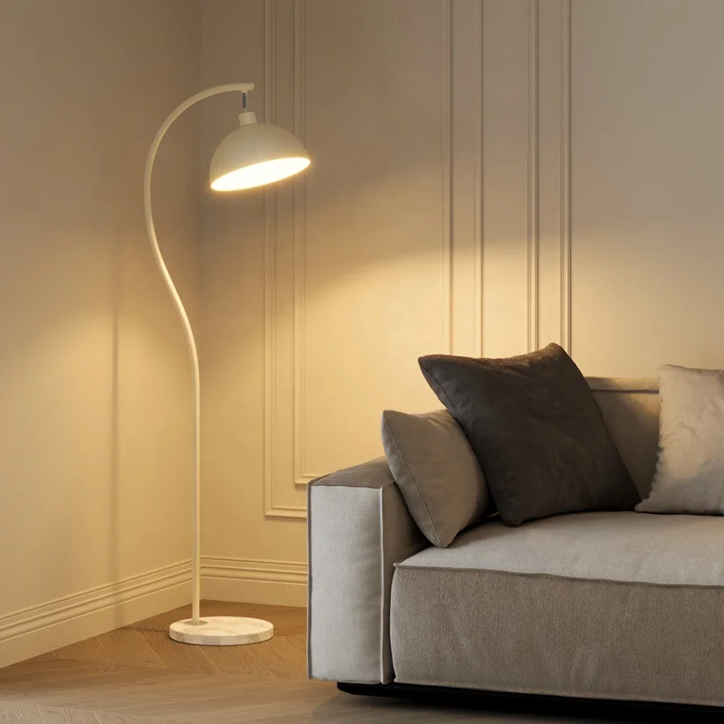 Fishing lamp, floor lamp, living room sofa, ambient light, storage rack, integrated practical decorative lighting
