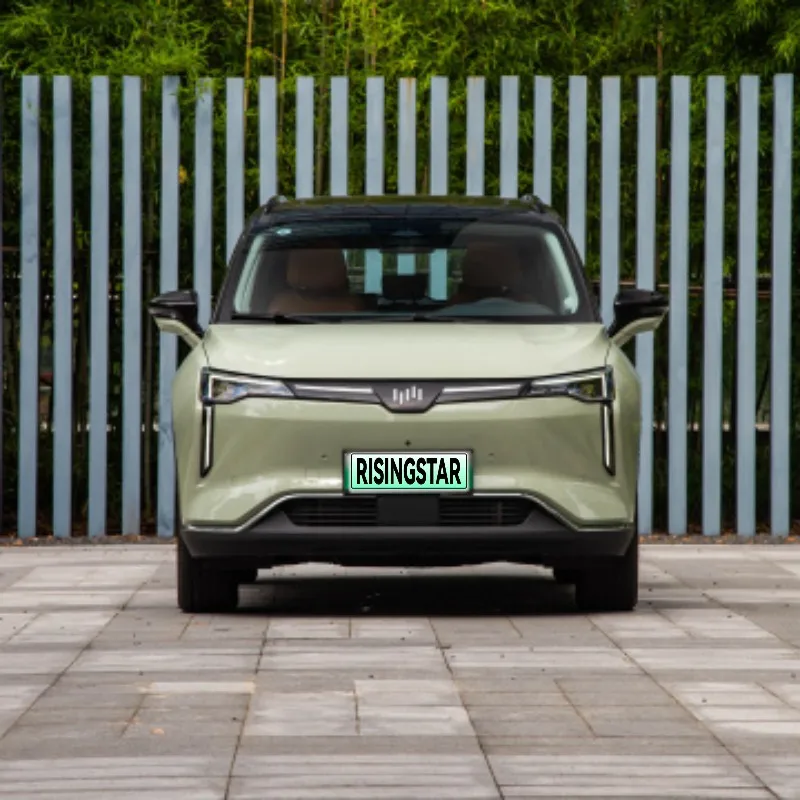 Smart Automotive High Performance Life New Energy Vehicle Weima W6 City  Electric Cars