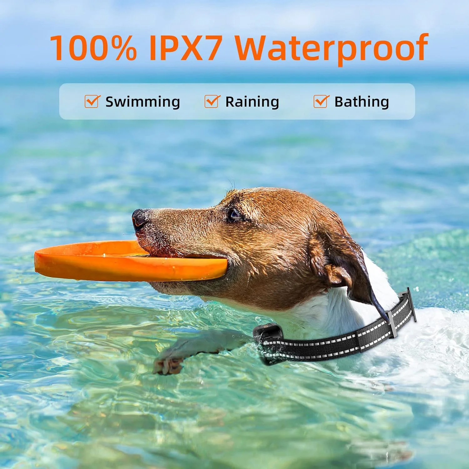 Dog Shock Collar IPX7 Waterproof Dog Training Collar with 3300FT Remote Rechargeable Shock Collar for Large Medium Small Dog