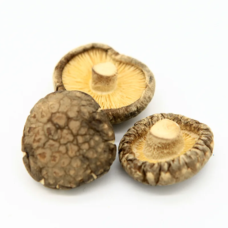 Крупные партии съедобные магические грибы сушеные