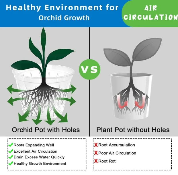 7 Inches Orchid Pots for Repotting, Clear Orchid Pot with Holes and Saucers, Breathable Slotted Orchid Planters