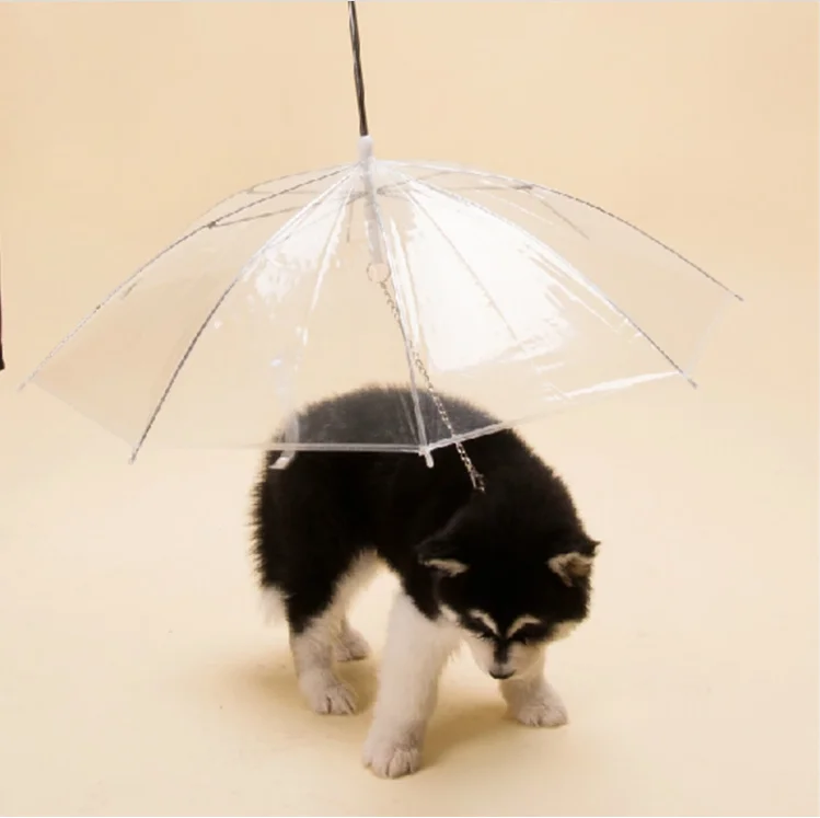 2021 New Design High Quality Folding Manual  transparent Pet Umbrella For  small Dog  Outdoor
