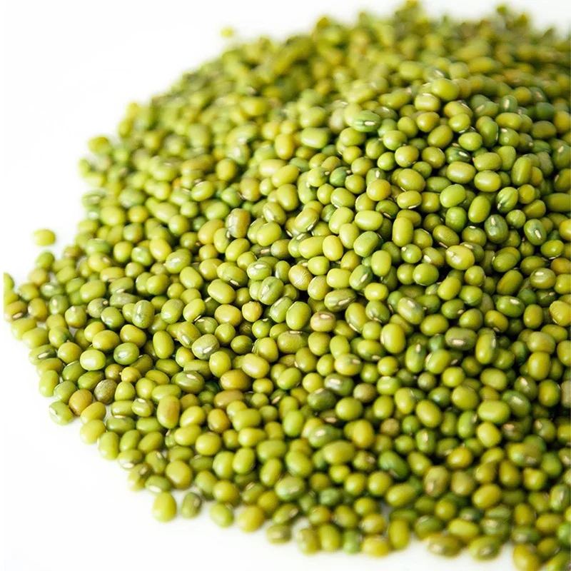 
Grade AA Green Mung Beans for Sprouting with Lower Price 