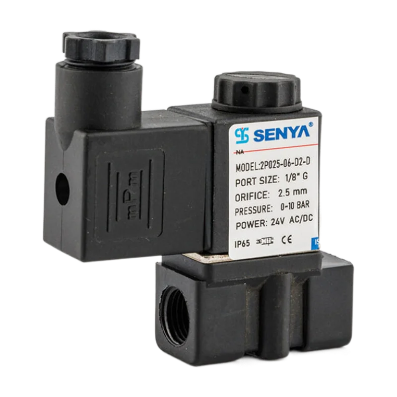 2P Series 2/2 Way Direct Acting Normal Close Plastic Solenoid Valve 12V 24V 110V 220V Solenoid Valve Water Solenoid Valve