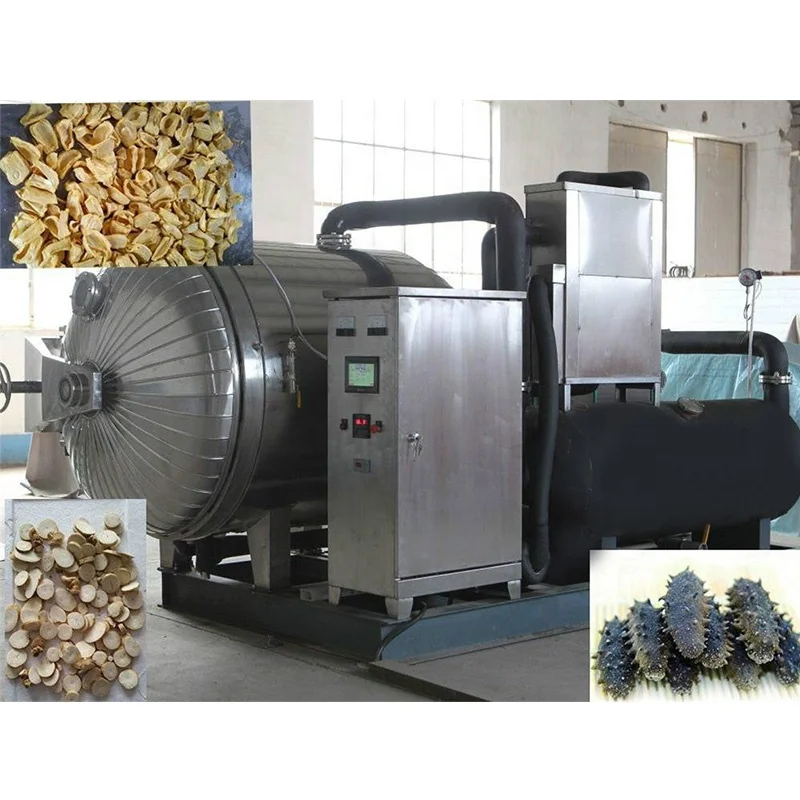 10/20/30/40/50/100 Sqm Medical Industrial  Health Care Products Large Capacity Lyophilize Machine Vacuum Freeze Dryer