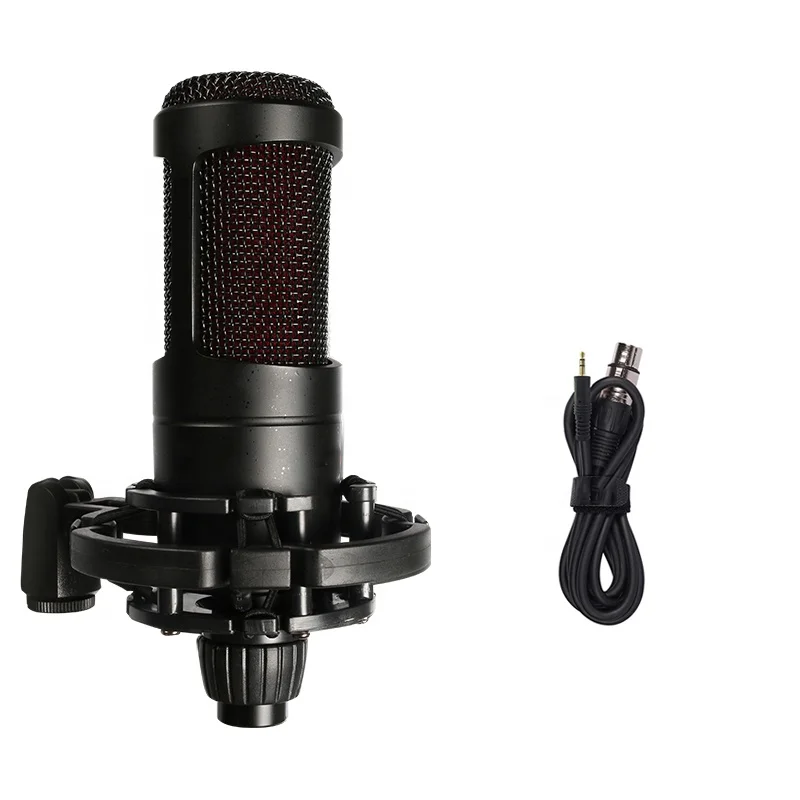 high quality professional KTV studio condenser microphone produced by Chinese manufacturers FF2058