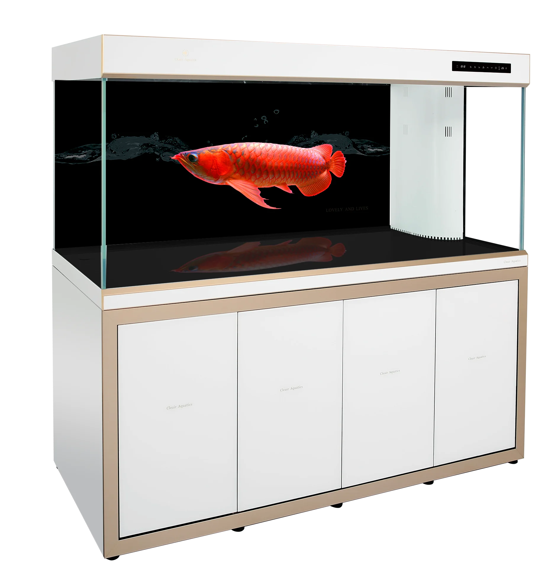 
Cleair Aquatics Arowana Aquarium 