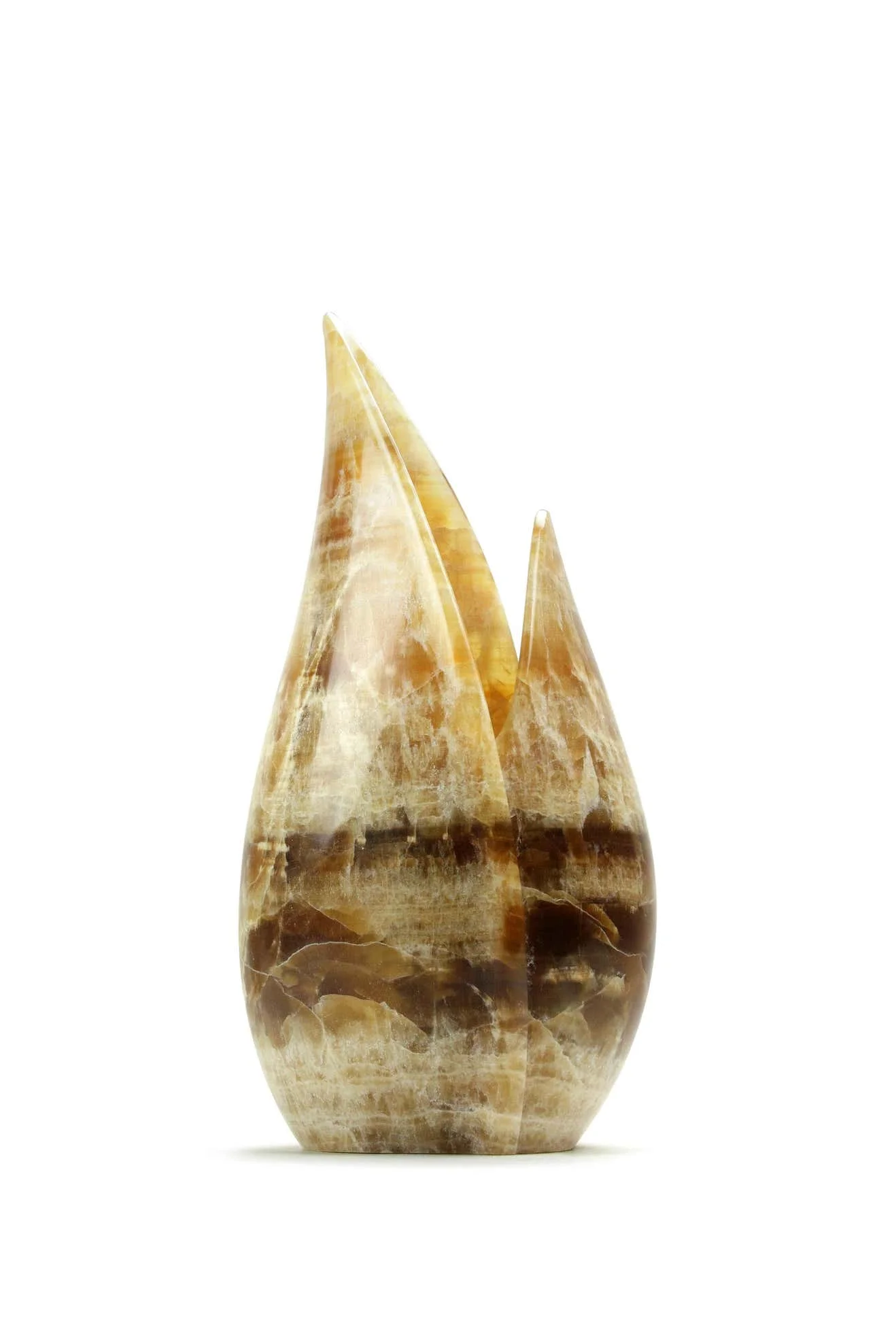 Tulipano.jpg