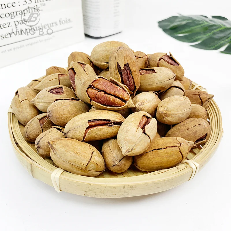 Wholesale Price Factory Direct Hot Sale Medium Dried Pecan nuts  Freshly Picked Bulk Pecan nuts for Snack Food.