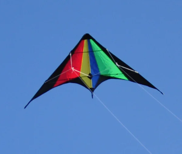 2021 hot sale High Quality delta stunt kite