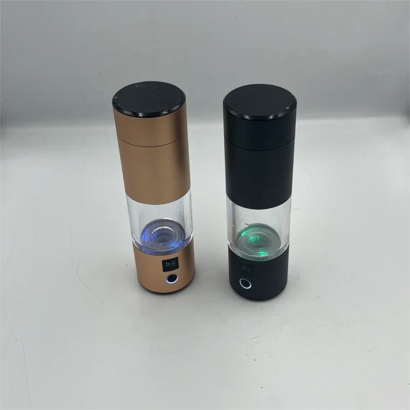 High Quality Titanium Platinum H2 Life Hydrogen Water Bottle USB Battery-Powered Car Accessory with Plastic Housing