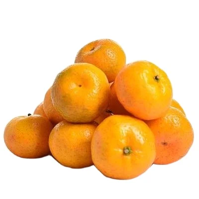 Chinese Fresh New Crop Baby madarine orange