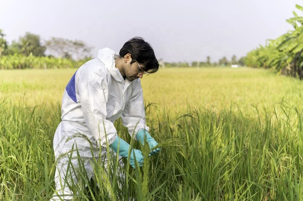 Disposable Protective Coverall with Good Breathable Performance for Paint Spraying