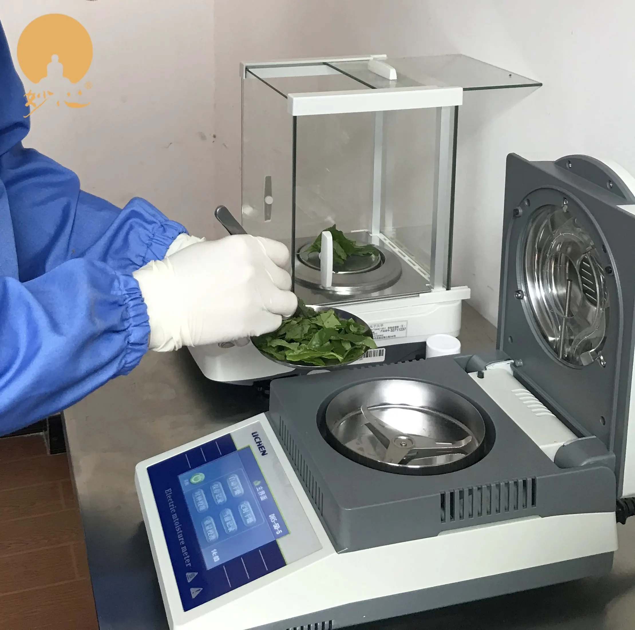 Miaoxin Organic Jasmine Green Tea High Quality Detox Chunmee Tea in Bulk Box or Bag Packaging with Excellent Customer Service