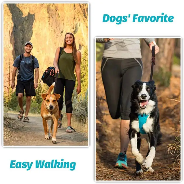Training Walking Large Medium Small Braided Best Heavy Duty Leather Dog Leash