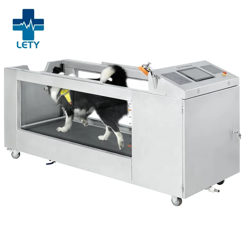 Medical Rehabilitation Pet Treadmill Electric Dog Underwater hydrotherapy Treadmill