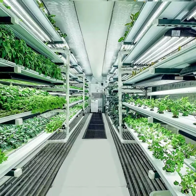 Skyplant 40ft Medical Planting Shipping Hemp Grow Room Blackout Container Farm