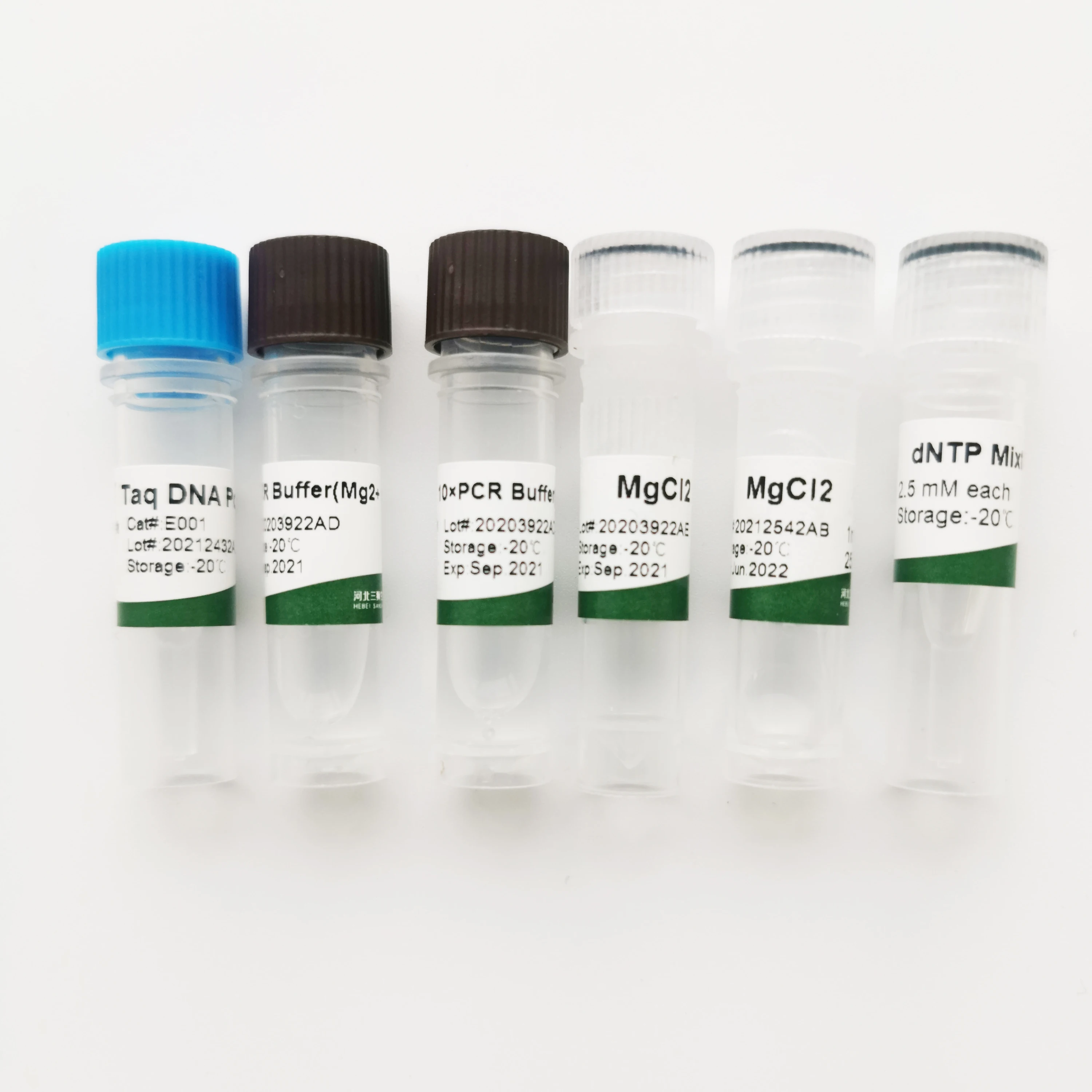 Custom high quality reagent with packaging taq dna polymerase(without Mg2+)