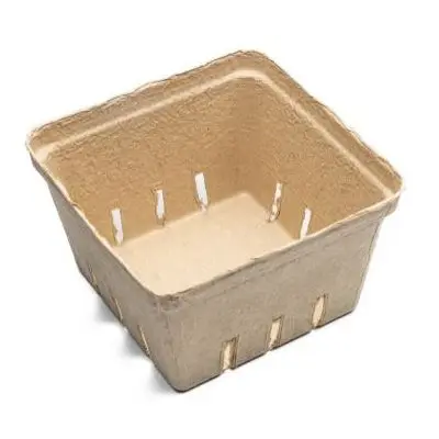 Square Blueberry Box Packaging Molded Disposable Fruit and Vegetable Box Pulp Box for Fruit Shop Packaging