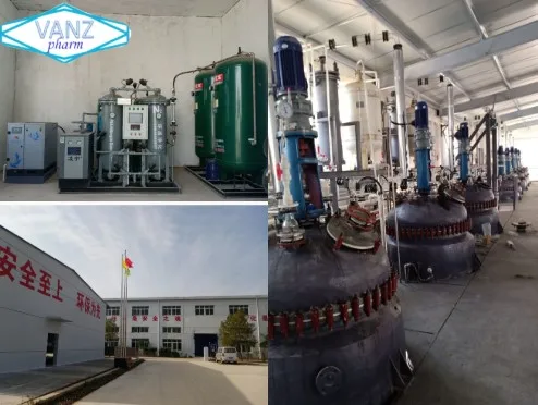 
bulk supply nootropics powder /Noopept/nsi 189 //Sunifiram/Unifiram//alpha-gpc Phenibut/ 