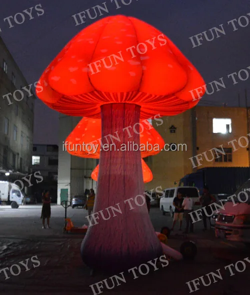mushroom2021063001-2.jpg