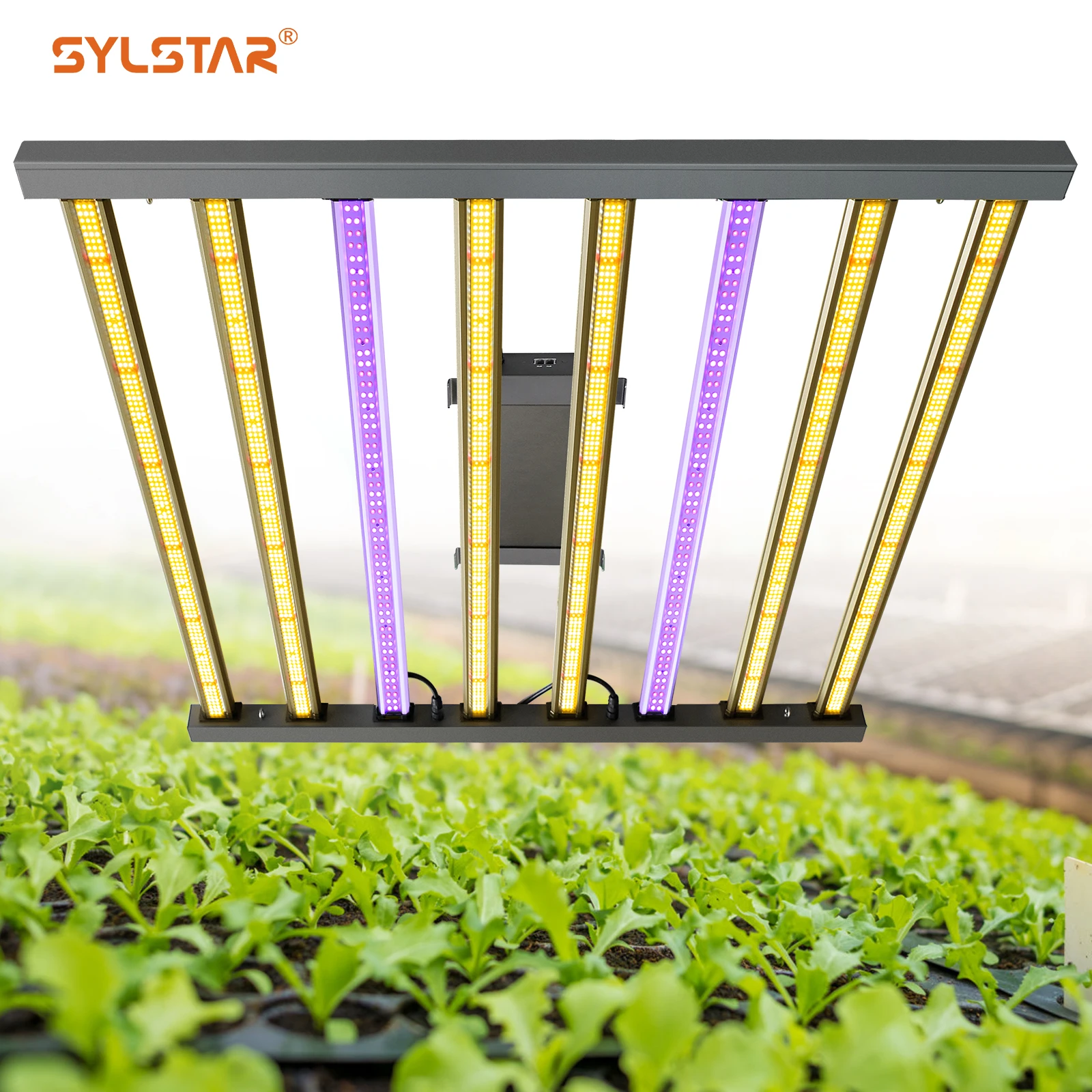 Sylstar Custom Grow Equipment Height Adjustable Uv Ir Flower Detachable Canopy Led Grow Slim Led Bar Grow Light