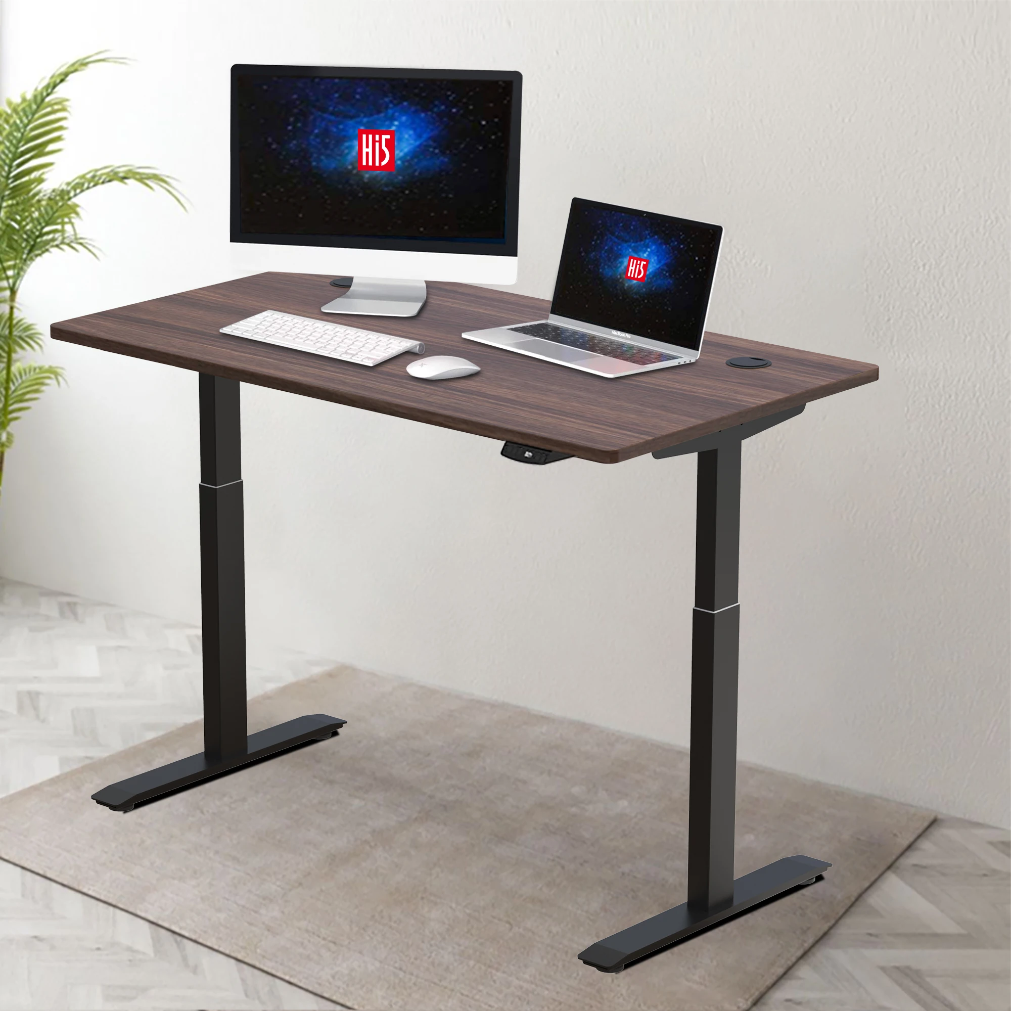 Hi5 Factory Wholesale Ergonomic Office Furniture Electric Dual Motor Sit Stand Adjustable Standing Computer Desk Adjustable Desk